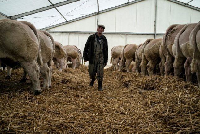 France's farmers 'left behind' as election nears