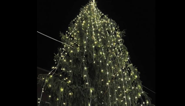 Is Rome’s Christmas tree really the ugliest in the world?