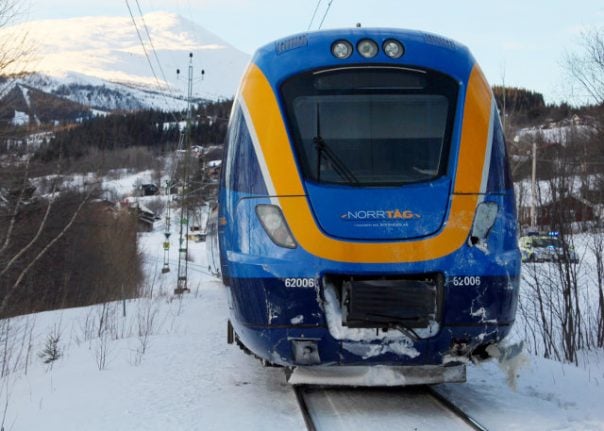 Swedish dog miraculously survives being hit by a train