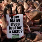 Anti-fur activists bare all in Barcelona
