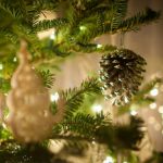 Christmas trees fly for free with Austrian airline Niki