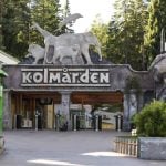Former Swedish zoo head convicted over fatal wolf attack
