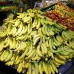 ‘Cocaine bananas’ worth millions earn Swede and American jail terms