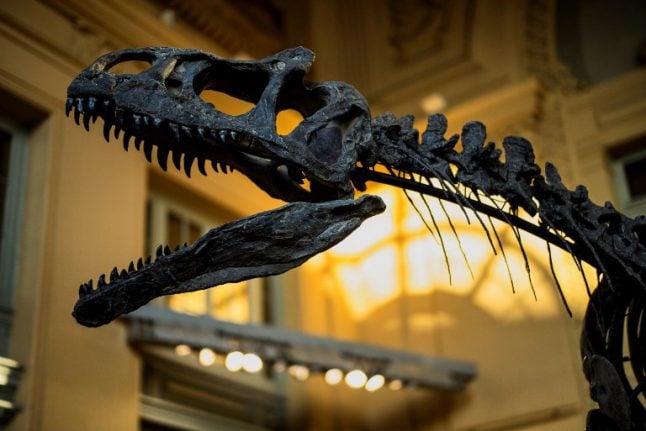 Dinosaur skeleton sells for over €1 million in France