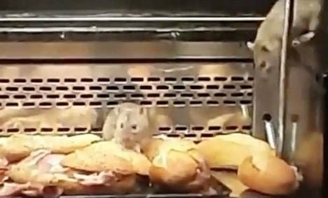 Madrid bakery closed after rats caught nibbling sandwiches
