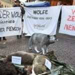Farmers stage Grimm protest against big bad wolves in Hanover