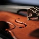 Vienna Conservatory professor’s prized violin stolen on train