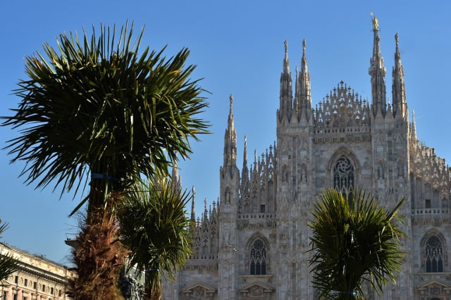 Nice idea or just bananas? Fierce debate over palm trees by iconic Milan Duomo
