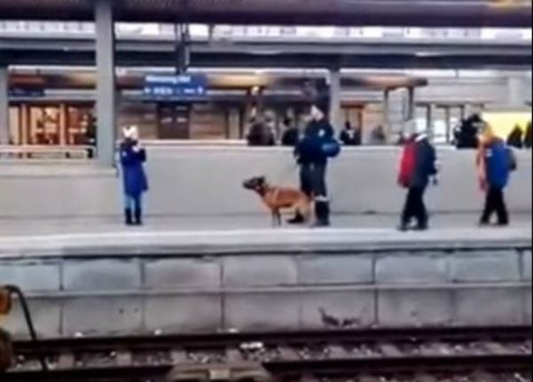 WATCH: Police dog pushes woman onto train tracks in Nuremberg