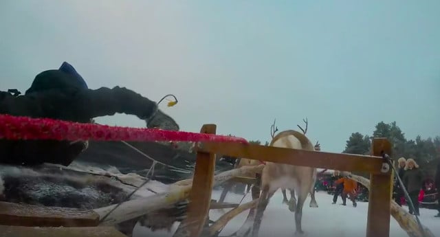 Video: This is what it’s like to race reindeer