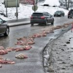 ‘Offal accident’: Animal guts spilt on Norway road