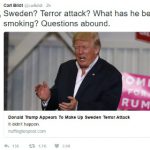 Swedes baffled by Trump’s ‘last night in Sweden’ comment