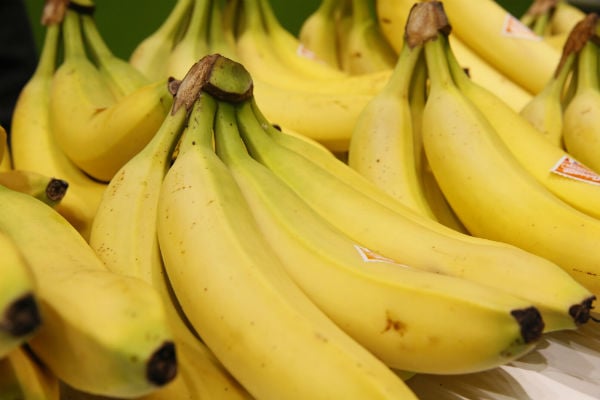 Two arrested in Spain for smuggling cocaine in fake bananas