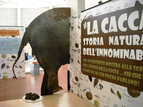 Rome's zoo has opened an exhibition all about the history of poo