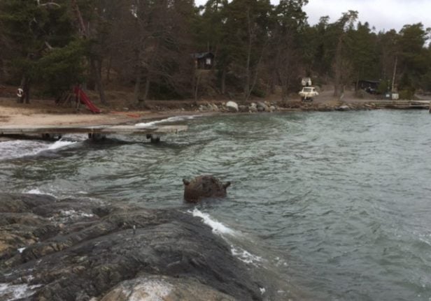 Mine found near Stockholm swimming spot contained explosives
