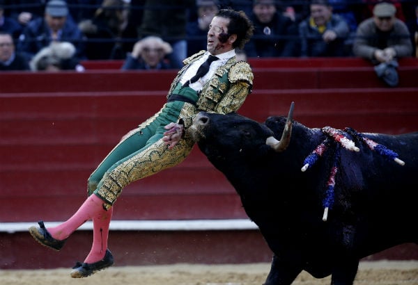 Disaster prone one-eyed matador Juan Jose Padilla is gored again