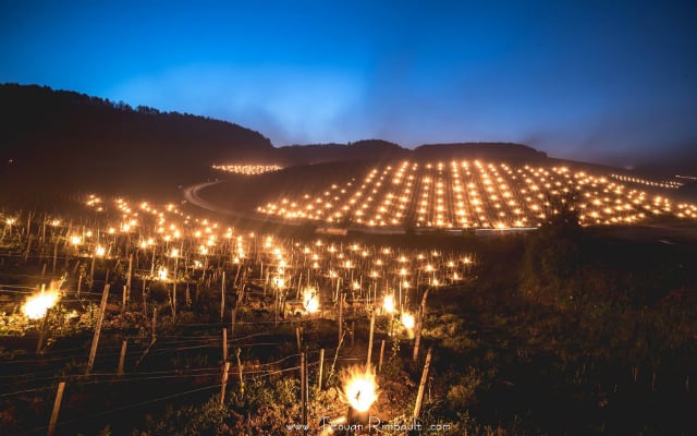 French winemakers come up with spectacular show to beat the frost