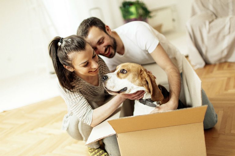 Renting in Germany what you need to know