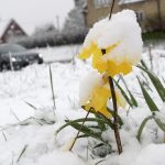 30cm snow in April? Please tell us you’re joking, Sweden!