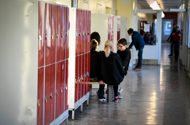 Deregulation and freedom of choice have hurt Sweden’s schools: Pisa head
