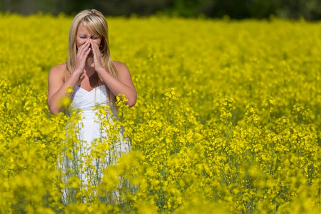 Got allergies in Sweden? Here’s the guide for you