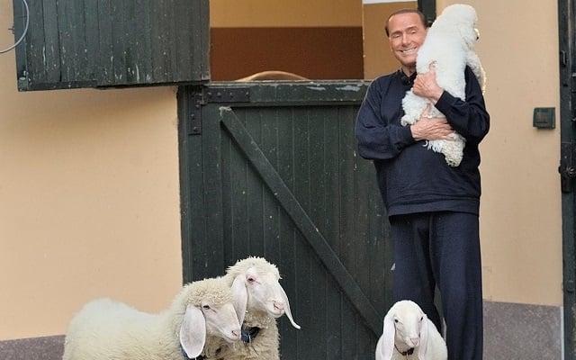 Berlusconi hopes to turn love for animals into votes with new pet project