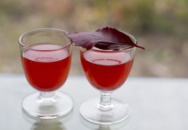 Recipe: How to make this very Swedish summer cocktail