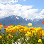 Swiss spring was third hottest on record