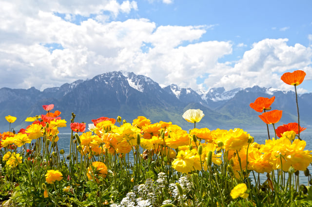 Swiss spring was third hottest on record