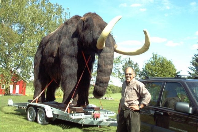 Woolly mammoth spotted in Norwegian traffic
