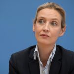 TV presenter allowed to call AfD leader ‘Nazi slut’, court rules