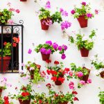 Seven marvellous things to do in May in Spain