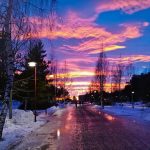 Studying in Umeå: ‘It’s more than its coldness’