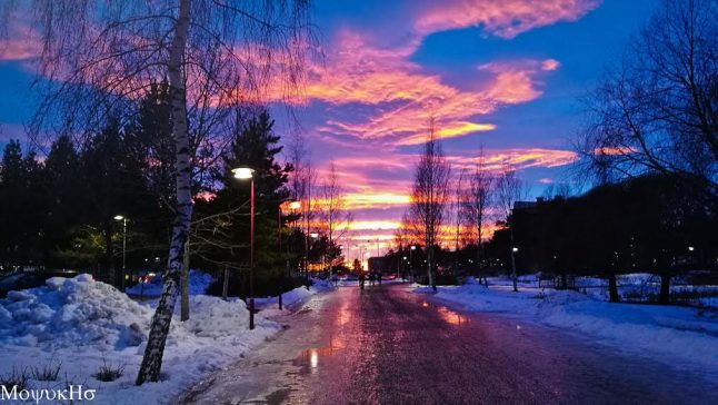 Studying in Umeå: 'It's more than its coldness'
