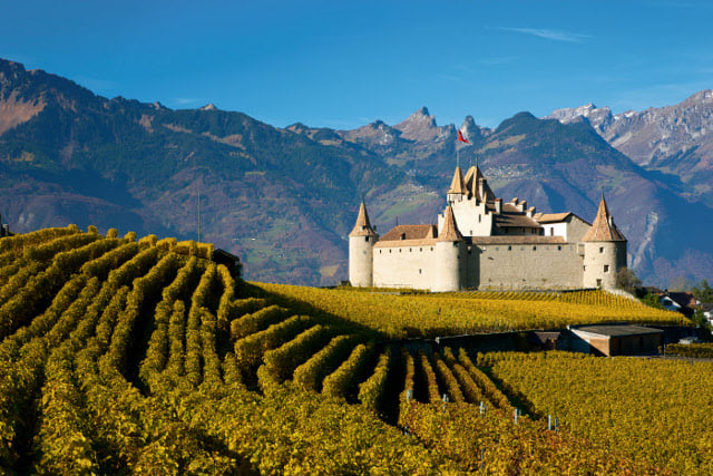 19 mildly interesting facts about Swiss wine