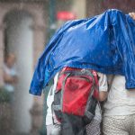 100 km/h strong winds, storms to hit Germany in the week ahead