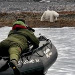 Hungry polar bears spotted eating Svalbard sea bird eggs