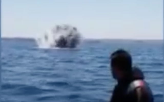 Navy divers find and detonate WW2 British air force bomb off Italian coast