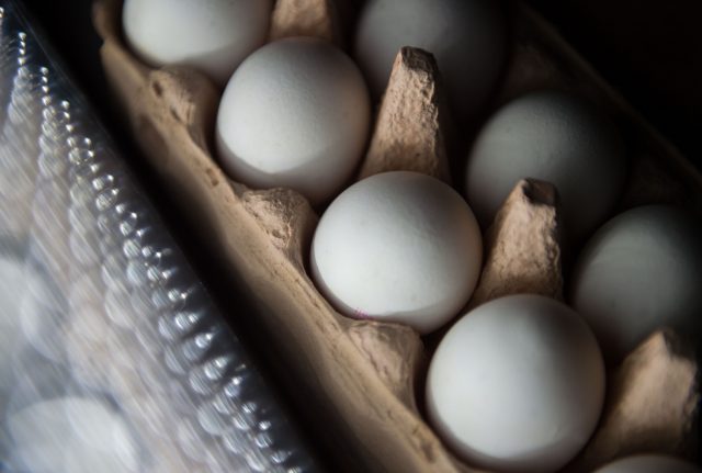 What you should know about the 'toxic eggs' found in 12 German states
