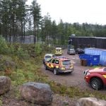 Zookeeper, 19, dies in bear attack at Swedish wildlife park