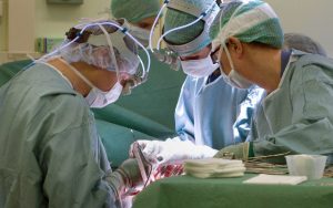 Why Do Some Female Deer Grow Antlers?