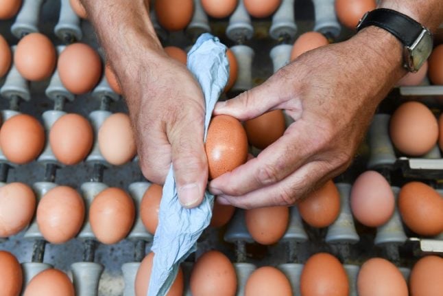 Austria finds insecticide in egg products