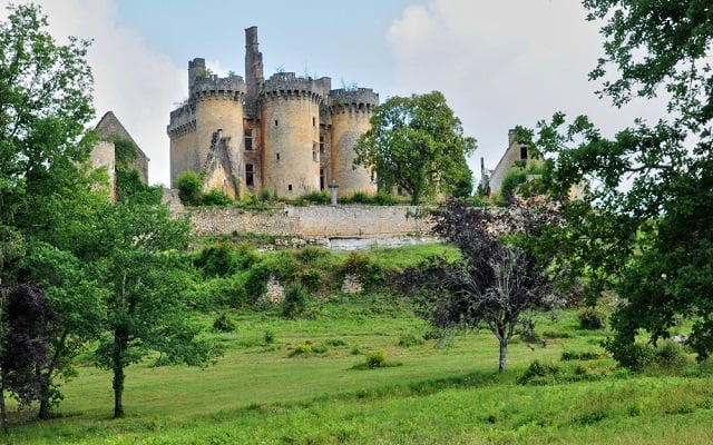 For just €50, you can own a castle in the Dordogne