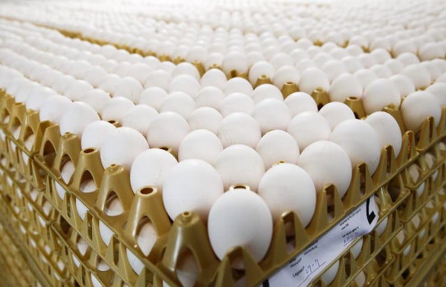 Tainted egg scandal: France demands more information