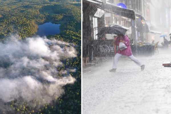 Forest fires and torrential rain: Sweden’s summer isn’t getting any better