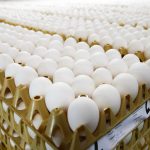 Two arrested as Europe egg scandal spreads to Denmark