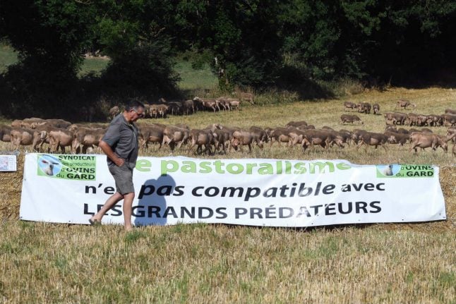 French farmers, breeders demand action against wolves