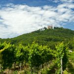 5 things you really should know about wine in Germany