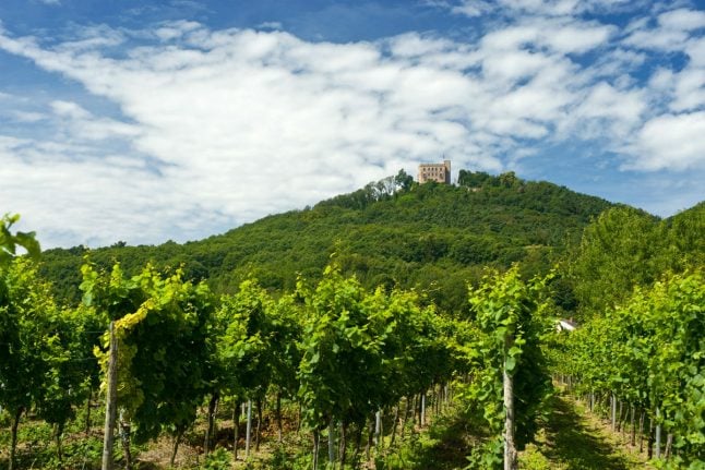 5 things you really should know about wine in Germany