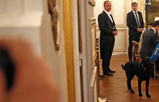 Macron adopts Nemo, France's new presidential pooch